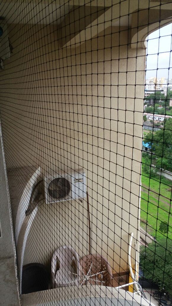 Bird Netting